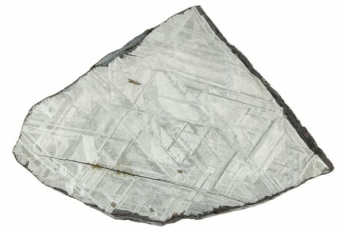 Etched Muonionalusta Meteorite Slice ( g) - Sweden #333205